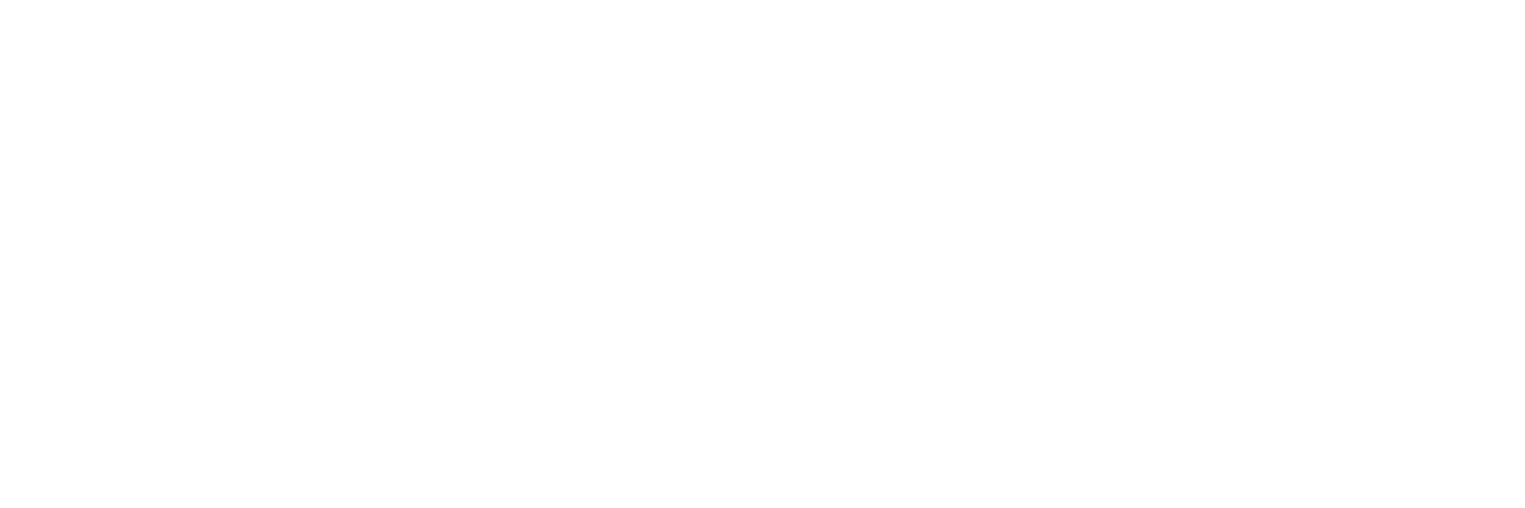 REDELK Logo Bianco SFONDO TRASPARENTE 2023